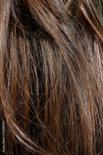 długie brązowe włosy © Marek