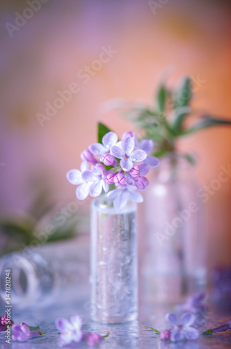 Lilac in a small jar. Micro bunch. Still life with lilacs.