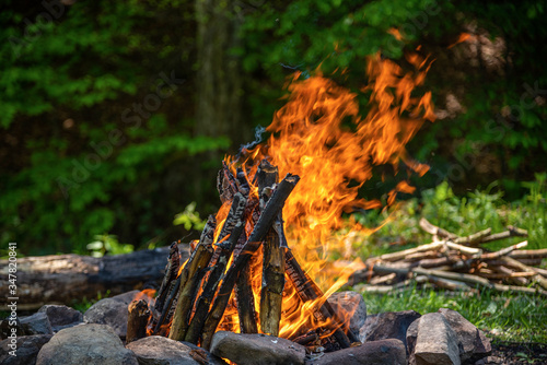 Burning campfire against the background of the spring forest.