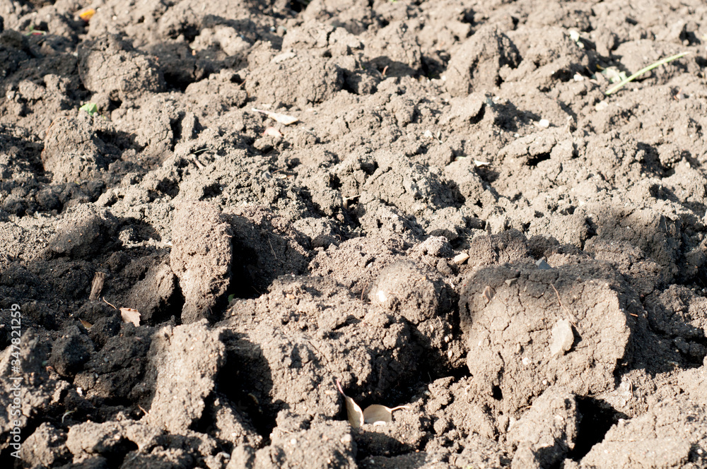 Soil, earth, ground close up. Soil, earth, ground close up.