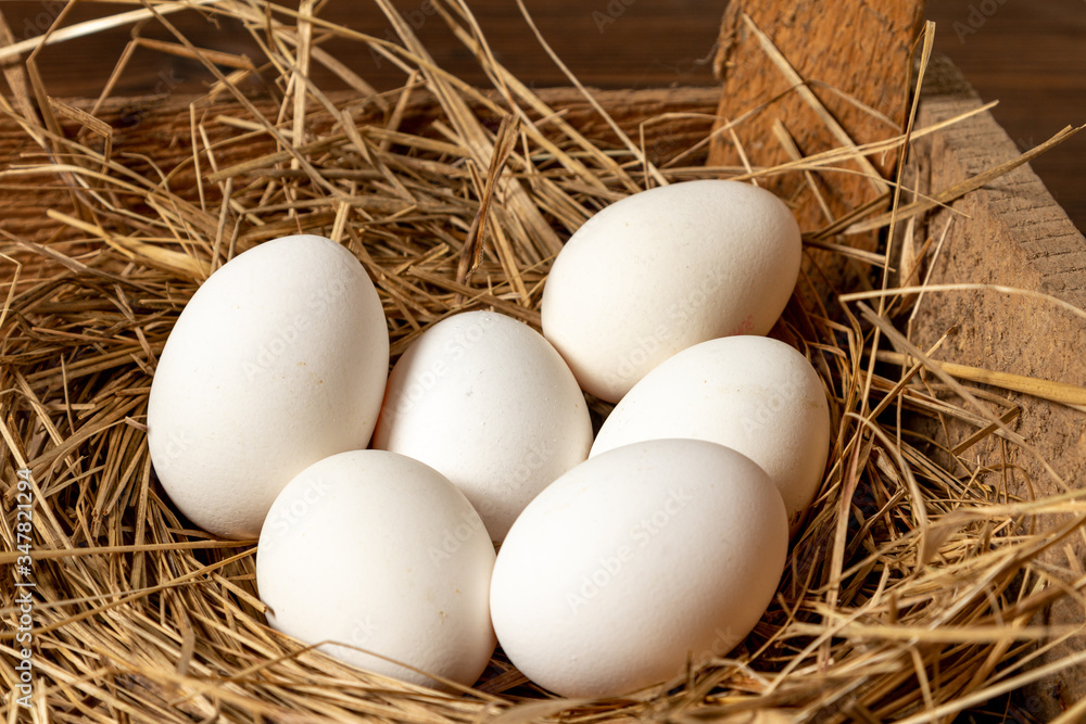 White eggs in a straw nest in a barn
