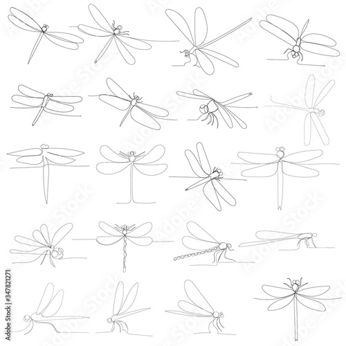 vector, isolated, dragonfly continuous line drawing, set