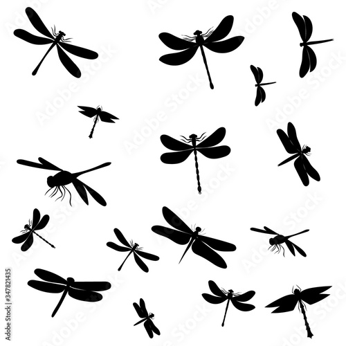 vector, isolated, dragonfly silhouettes set, background