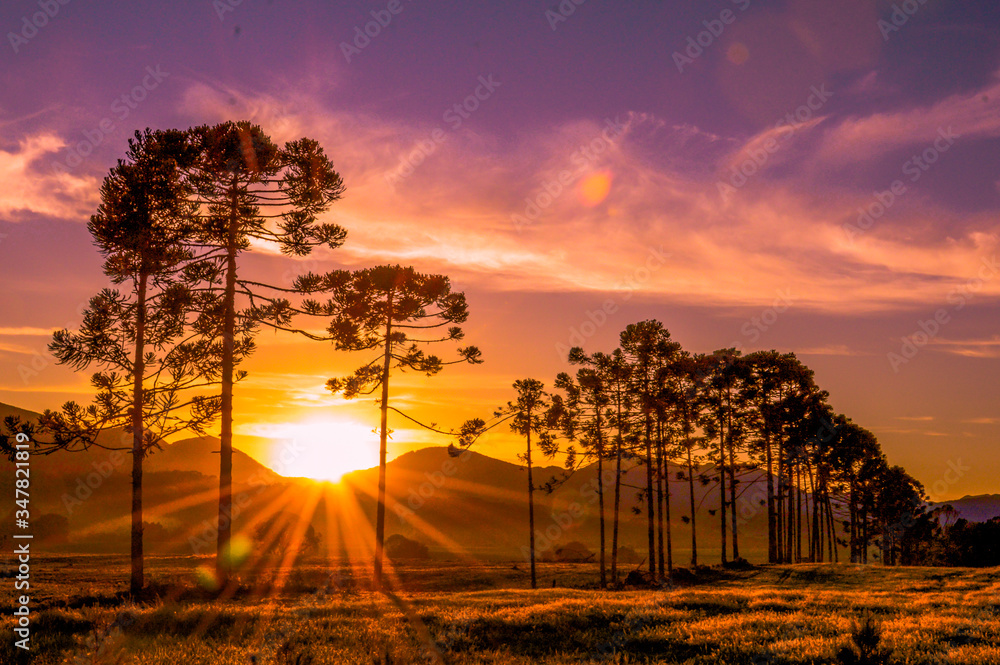 Obraz premium Sunset