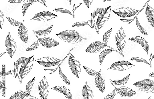 Seamless pattern with hand drawn tea leaves and branches