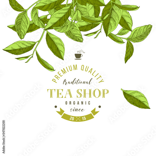 Tea shop emblem with hand drawn tea leaves