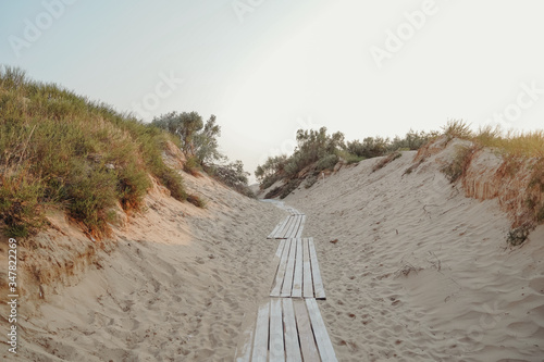 Fototapeta Naklejka Na Ścianę i Meble -  Boardwalk to the beach among sand dunes