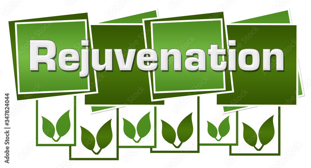 Fototapeta premium Rejuvenation Green Leaves Squares Boxes