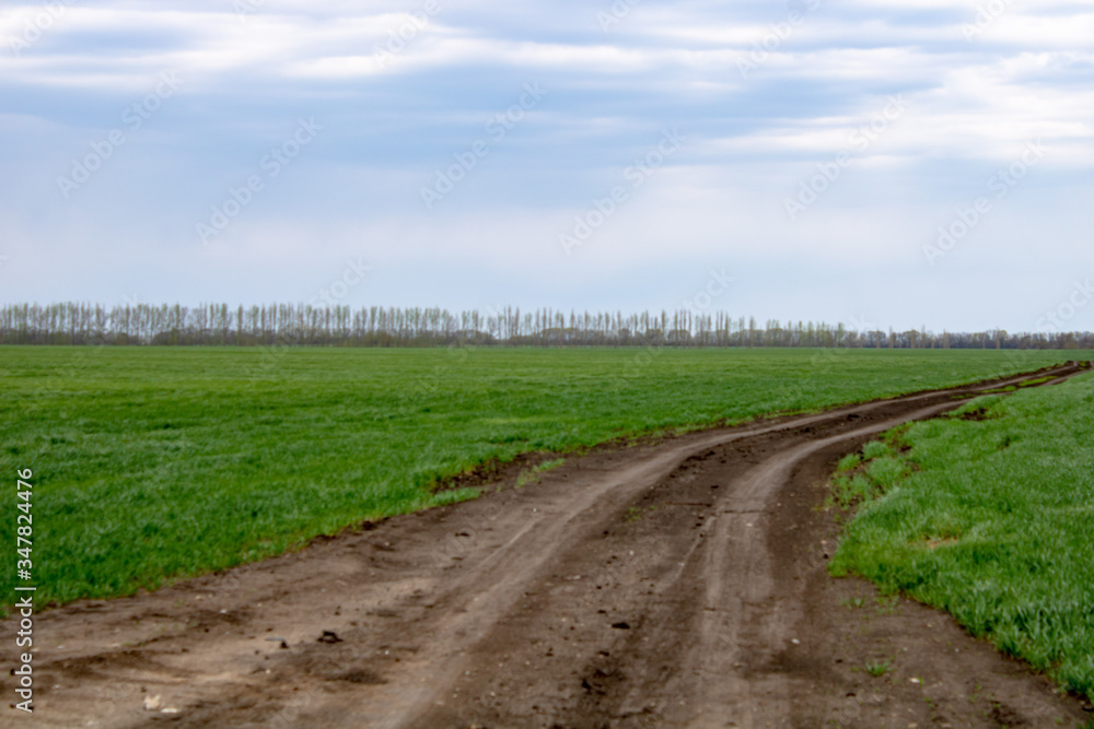 Spring field landscape under blue sky on a spring day Spring field landscape under blue sky on a spring day