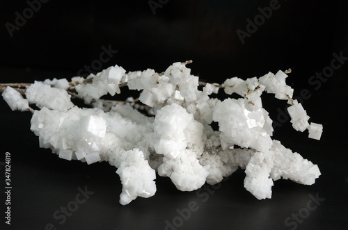 white crystals of salt
