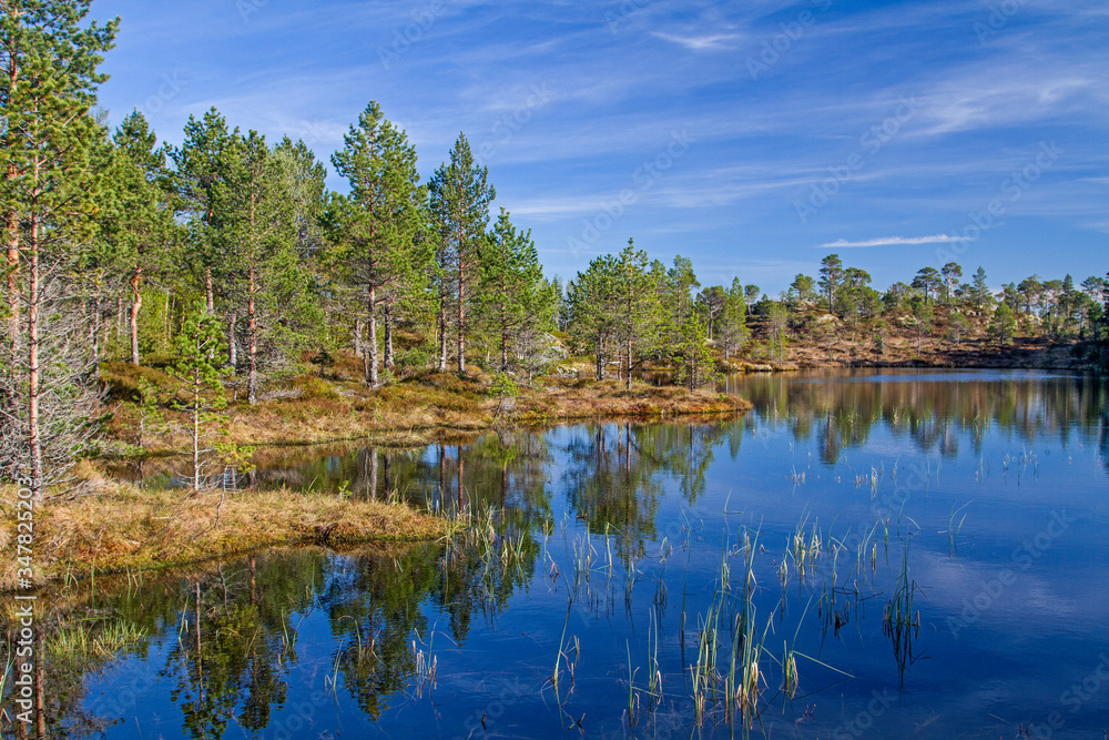 Fototapeta premium Moorweiher im Trondelag