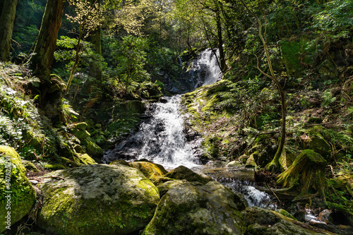 Waterfall is in mountain of Fukuoka prefecture, JAPAN © w108av22
