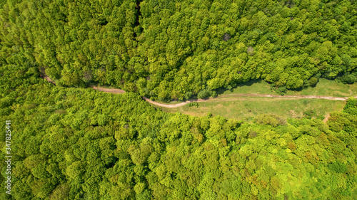 Forest and road aerial view. Photo shot by a drone.