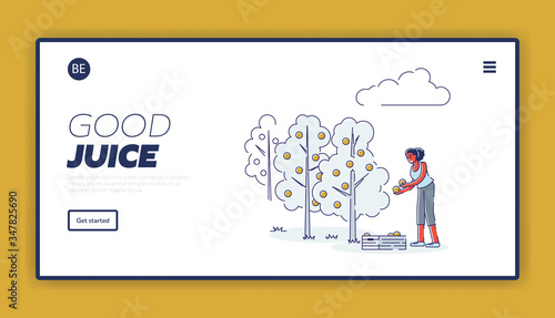 Concept Of Juice Production. Website Landing Page. Woman Working On Fruit Plantation, Picking Oranges And Carefully Putting It In Wooden Box. Web Page Cartoon Linear Outline Flat Vector Illustration