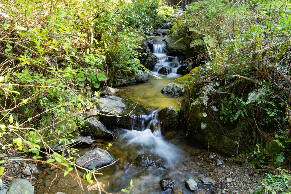 water flow in rocky area in mountain in JAPAN. water flow in rocky area in mountain in JAPAN.