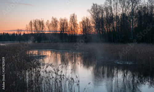 a small river in sunrise, tree reflections in the water, dry reeds, light before sunrise