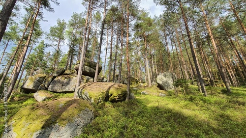 Stein wald Stone Wackelsteine Findlinge Ruhe  photo