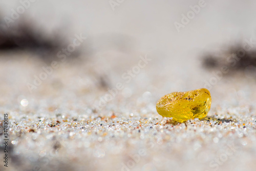 Canvas Print Beautiful piece of amber on the sandy beach, close up