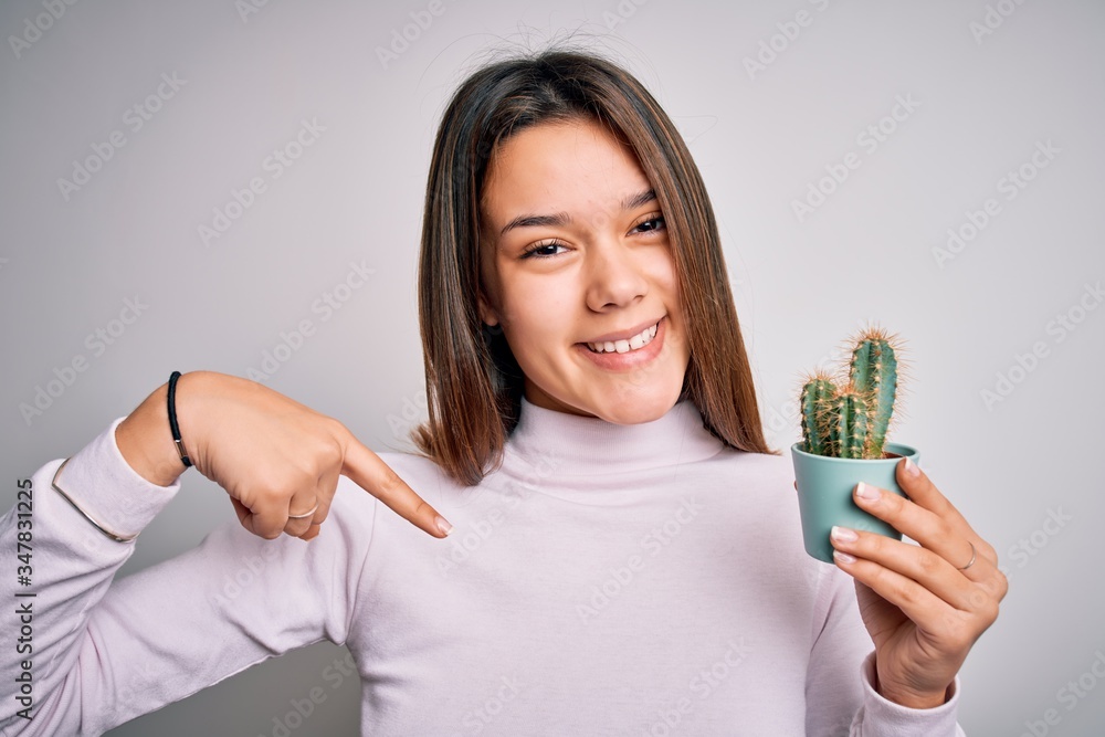 Young beautiful brunette girl holding small cactus plant pot over isolated white background with surprise face pointing finger to himself Young beautiful brunette girl holding small cactus plant pot over isolated white background with surprise face pointing finger to himself