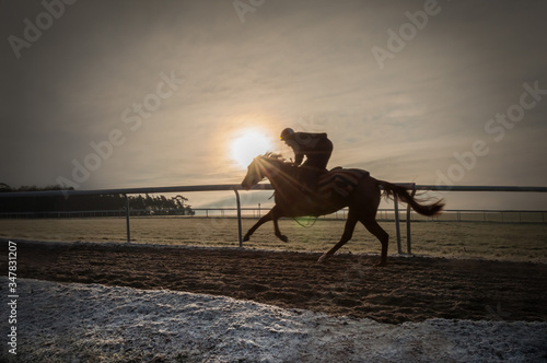 A racehorse in training on Newmarket gallops on a cold morning in winter. photo