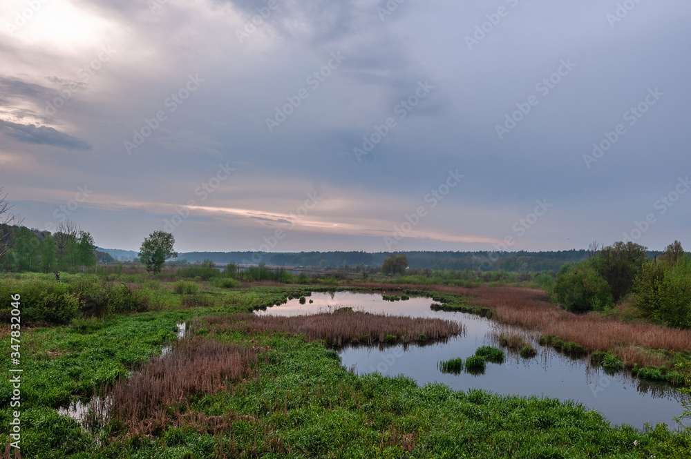 pond and swamp in the thickets of scirpus and bulrush at sunset. panoramic landscape view. Pond known as the fifth glade. Kyiv, Ukraine pond and swamp in the thickets of scirpus and bulrush at sunset. panoramic landscape view. Pond known as the fifth glade. Kyiv, Ukraine