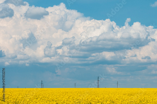 Rapeseed field with power lines and big clouds.