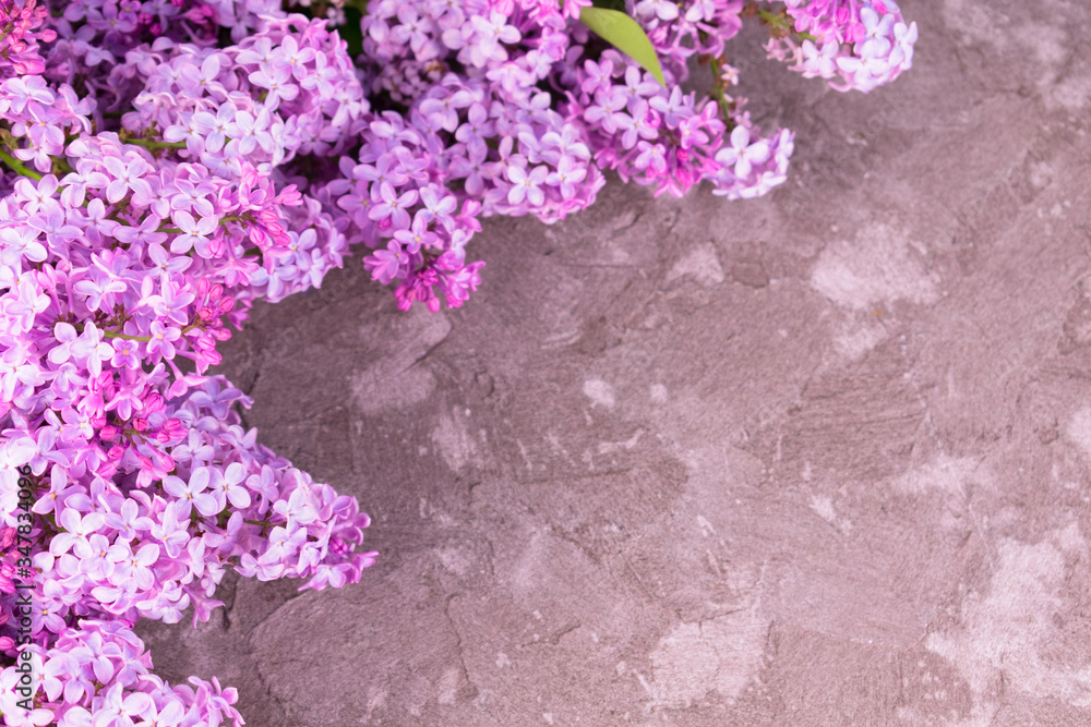 Bouquet of lilac flowers on a gray textural background. Copy space.