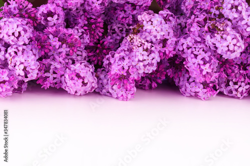 Beautiful lilac flowers on a white background. Copy space.