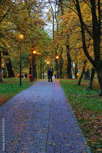 bright colorful warm autumn in the city