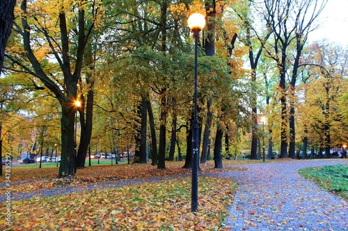 bright colorful warm autumn in the city