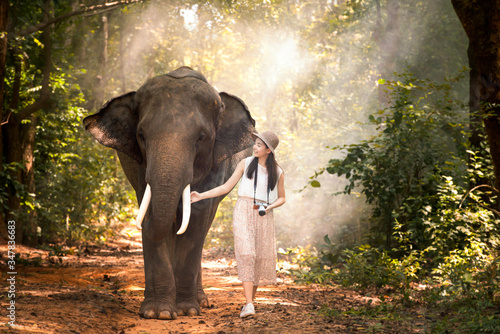 Photography Tourists are enjoying with the wild elephants in the forest