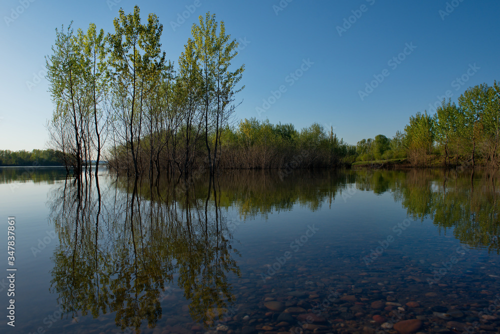 Russia, Kuznetsky Alatau. Flooded with spring water, the shore of the Tom river near the village of Osinovoe Pleso.