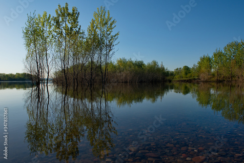 Russia, Kuznetsky Alatau. Flooded with spring water, the shore of the Tom river near the village of Osinovoe Pleso.