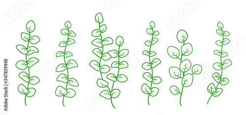 green hand drawn branches with leaves collection