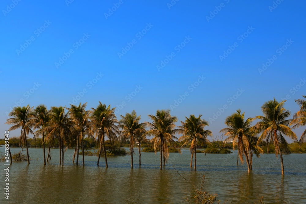 Indian Lake at Kutch, Gujarat, India, Garden, Indian River