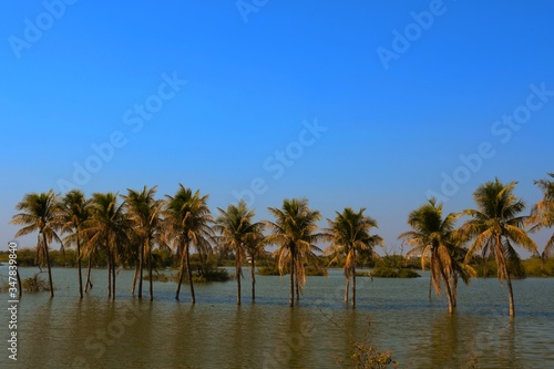 Indian Lake at Kutch, Gujarat, India, Garden, Indian River © Sagar Rajgor