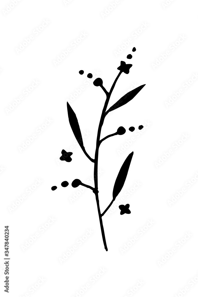 branch with leaves isolate. twig silhouette. floral element design. 