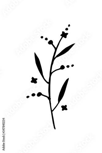 branch with leaves isolate. twig silhouette. floral element design. 