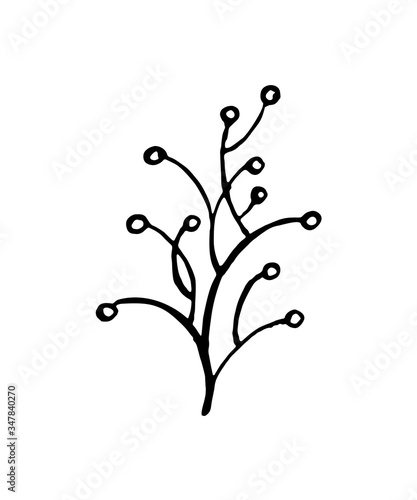 branch isolate . floral element design.