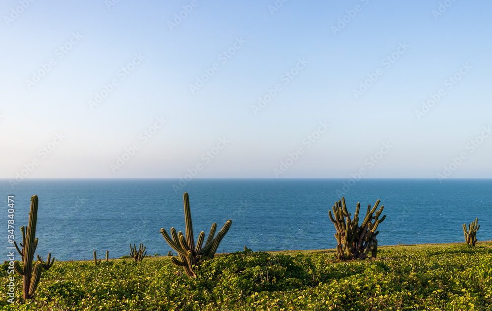 Cactos em frente ao mar no Parque Nacional de Jericoacoara.