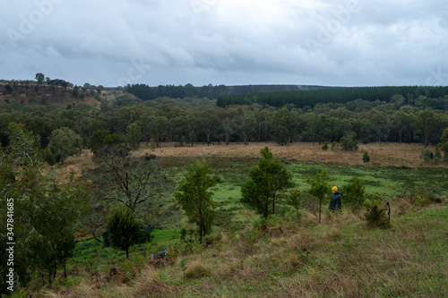 Beautiful farming landscapes in Australia photo