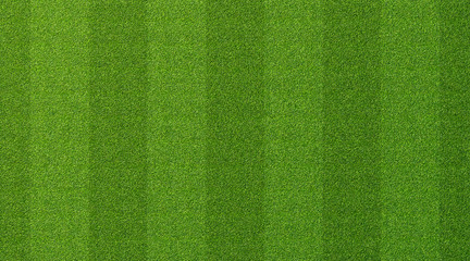 Green grass texture for sport background. Detailed pattern of green soccer field or football field grass lawn texture. Green lawn texture background.