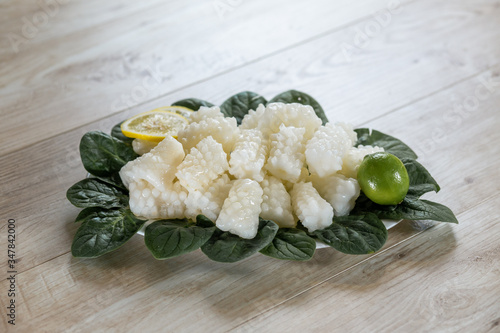 squid flower on green leaves