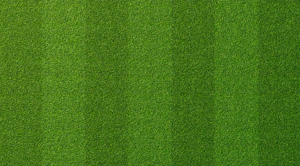 Green grass texture for sport background. Detailed pattern of green soccer field or football field grass lawn texture. Green lawn texture background.