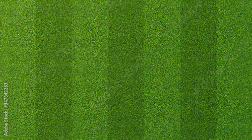 Green grass texture for sport background. Detailed pattern of green soccer field or football field grass lawn texture. Green lawn texture background. © Lifestyle Graphic