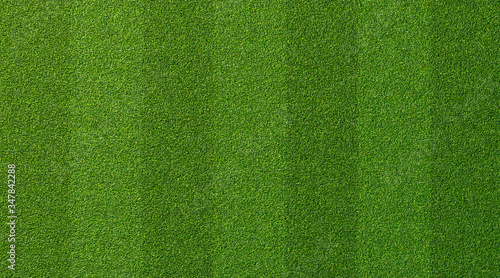 Green grass texture for sport background. Detailed pattern of green soccer field or football field grass lawn texture. Green lawn texture background. © praewpailin