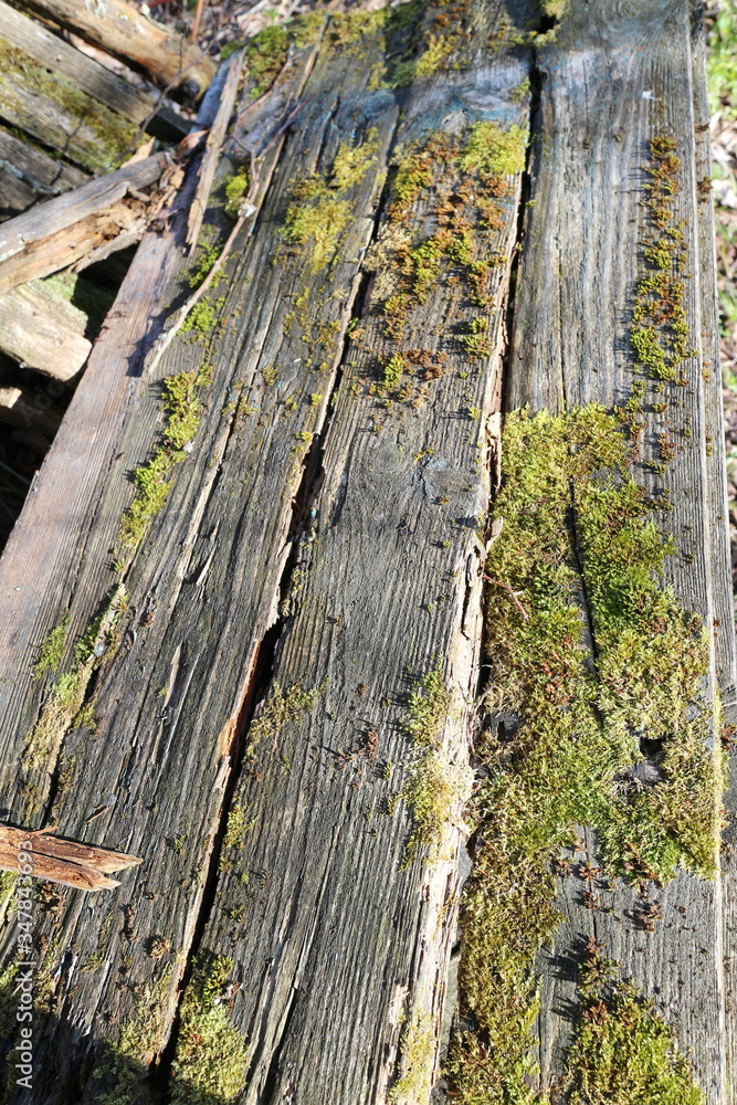 Obraz premium Old boards and logs closeup