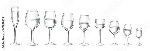 Set of glass goblets for wine and drinks. Lead pencil illustration isolated on white background