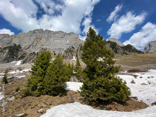 Alpine peaks Brisi and Zuestoll in the Churfirsten mountain range, between the Obertoggenburg region and Lake Walensee - Canton of St. Gallen, Switzerland (Kanton St. Gallen, Schweiz) photo