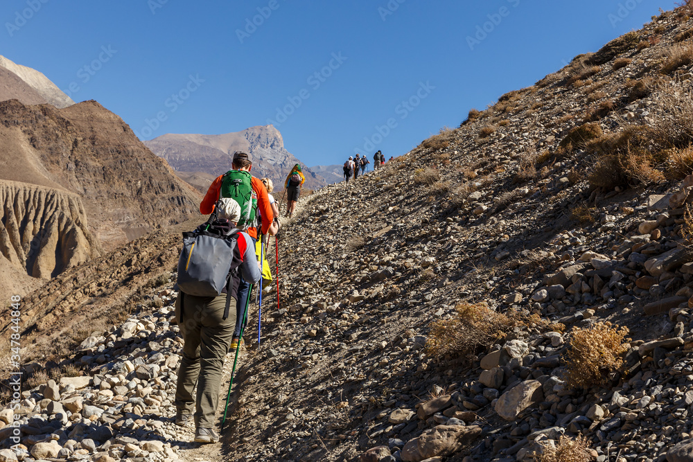 Tourists hiking in the mountains. Tourists go to the mountains along a narrow path. Himalayas, Nepal.